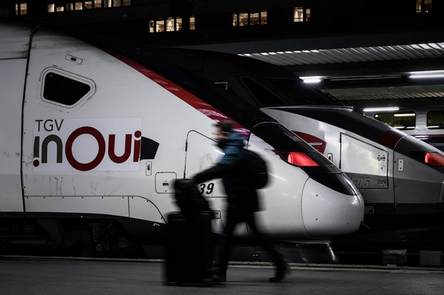 Des TGV à quai à la gare de Lyon au 16e jour de la grève contre la réforme des retraites, le 20 décembre 2019 à Paris