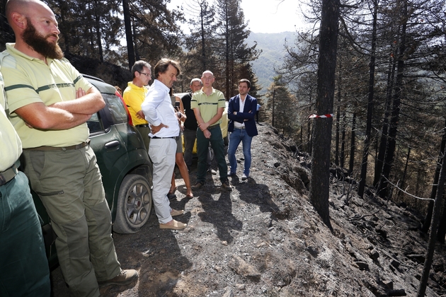 Le 17 août 2017, Nicolas Hulot (C) avec des employés de l'Office National des Forêts lors d'une visite à Palneca (Corse-du-Sud), où 170 hectares de végétation ont brûlé début août