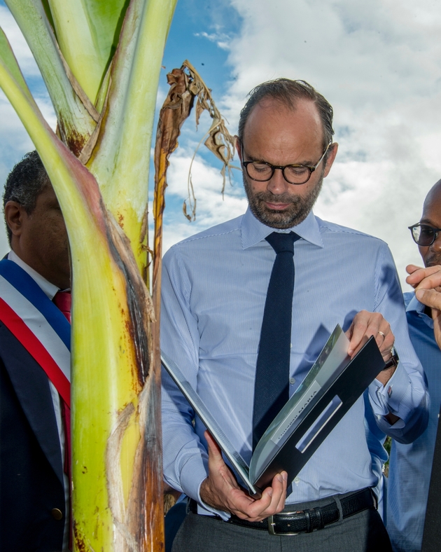 Le Premier ministre français Edouard Philippe regarde des photos des dégâts causés par l'ouragan Maria lors de la visite d'une bananeraie le 5 novemùbre 2017 aux Trois Rivieres, en Guadeloupe